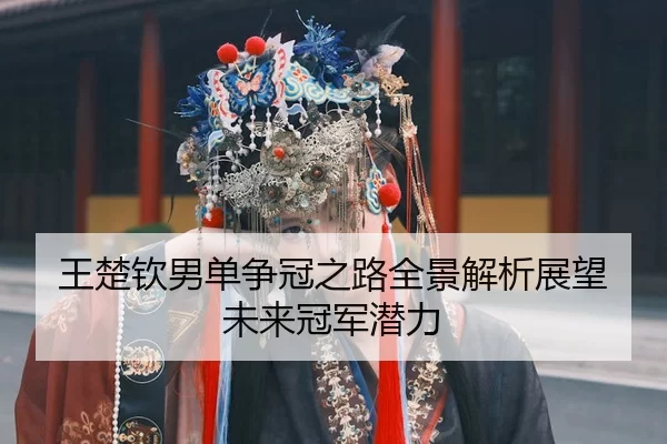 王楚钦男单争冠之路全景解析展望未来冠军潜力